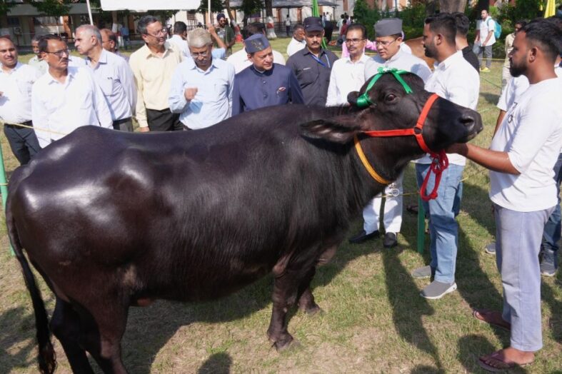 श्री जैम्बी भल्ला की संकर नस्ल की बछिया को सर्वोत्तम पशु का पुरस्कार