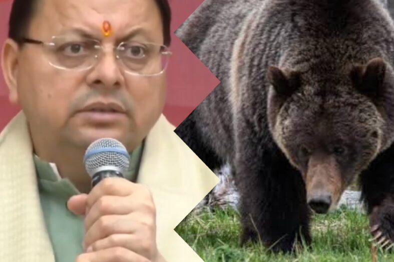 वन्यजीव हमलों पर धामी सख्त, संवेदनशील इलाकों में बढ़ेगी चौकसी