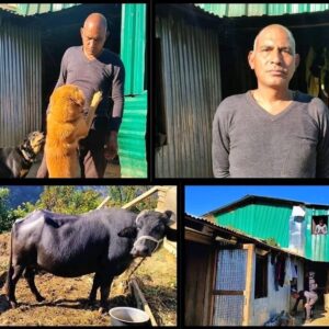 वर्दी से खेती तक: पैरा कमांडो हीरा सिंह पटवाल की पहाड़ बचाने की नई जंग