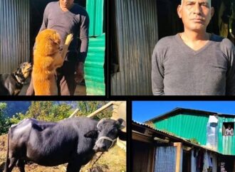 वर्दी से खेती तक: पैरा कमांडो हीरा सिंह पटवाल की पहाड़ बचाने की नई जंग