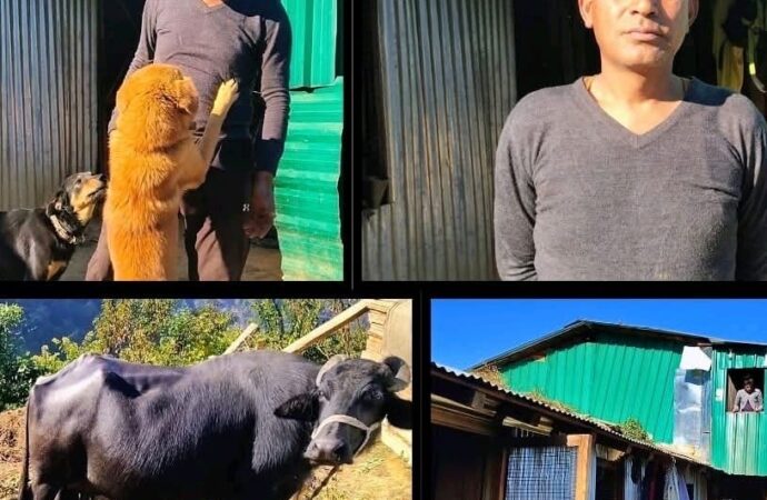 वर्दी से खेती तक: पैरा कमांडो हीरा सिंह पटवाल की पहाड़ बचाने की नई जंग