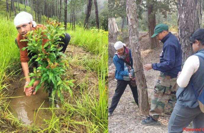 नन्होई नौला की वापसी: एक व्यक्ति के संकल्प से फिर बह उठा जीवन