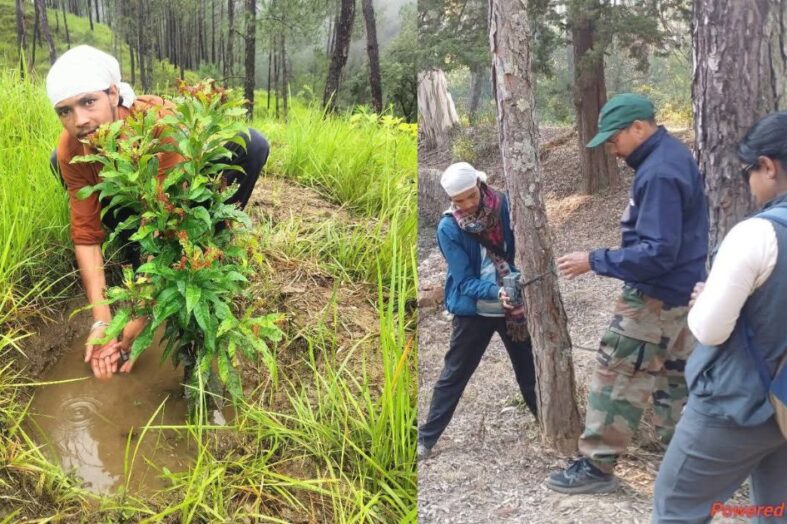 नन्होई नौला की वापसी: एक व्यक्ति के संकल्प से फिर बह उठा जीवन
