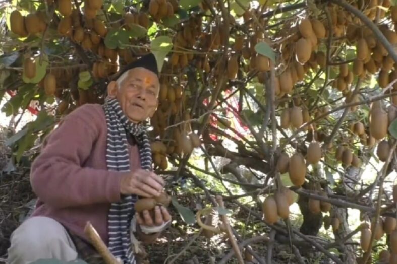 कीवी की खेती से आत्मनिर्भरता की मिसाल बने सगत सिंह मेहरा