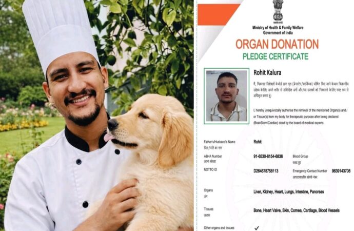 पहाड़ से उठी मानवता की अनोखी आवाज़