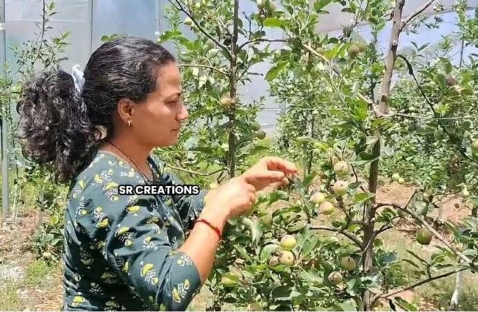 दिल्ली से गौरीकोट तक: सविता रावत की रिवर्स पलायन की साहसिक यात्रा