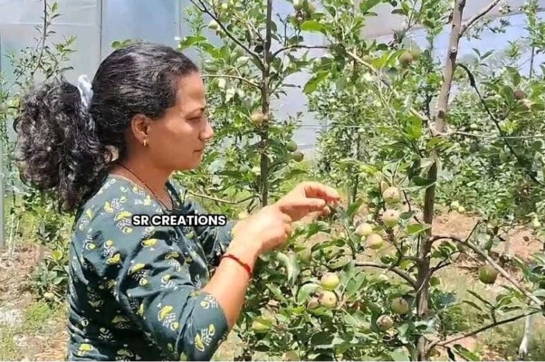 दिल्ली से गौरीकोट तक: सविता रावत की रिवर्स पलायन की साहसिक यात्रा