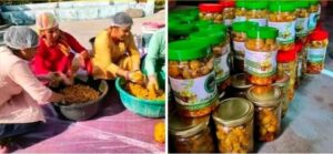 घरेलू हुनर बना सम्मानजनक आय का साधन