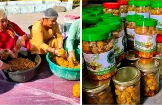 घरेलू हुनर बना सम्मानजनक आय का साधन