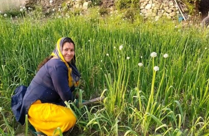 संघर्ष से सफलता तक: कमल और रेखा की प्रेरक यात्रा