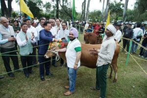 जम्बी भल्ला की गाभिन जर्सी गाय रही सर्वोत्तम पशु