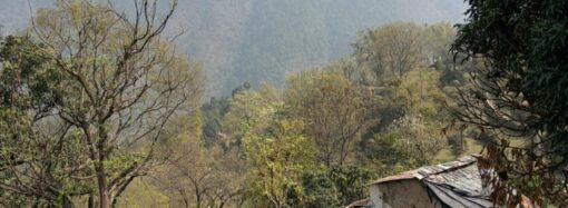 उत्तराखंड में 25 अप्रैल से मकानों की गणना शुरू, सामने आएगी पहाड़ों से पलायन की असली तस्वीर