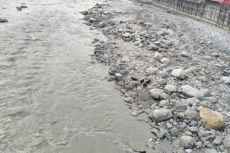 गंगा तट की पवित्रता बनाए रखने के लिए अंतिम संस्कार में लापरवाही न बरतें