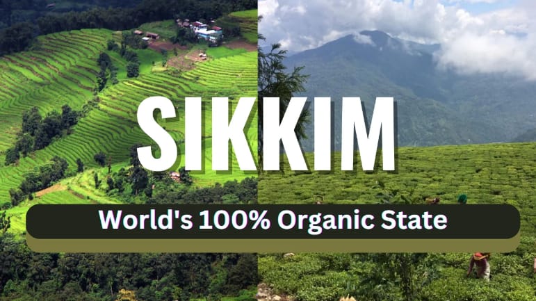 सिक्किम की सफलता से सीखें अन्य राज्य