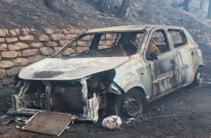 भयावह हुई वनाग्नि: गढ़वाल से कुमाऊं तक धधके जंगल, 37 स्थानों पर लगी आग