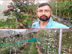 पहाड़ में खेती से बदली तकदीर : कमल गिरी बने युवाओं के लिए प्रेरणा