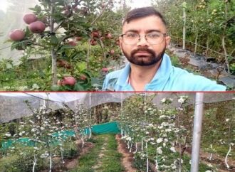 पहाड़ में खेती से बदली तकदीर : कमल गिरी बने युवाओं के लिए प्रेरणा