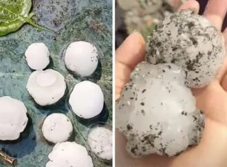 कुमाऊं में मौसम का कहर: 200 ग्राम तक के ओलों ने मचाई तबाही, वाहनों के शीशे और हेडलाइट टूटीं