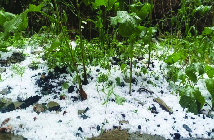 गढ़वाल में मौसम का कहर: ओलावृष्टि और आंधी से फसलें तबाह, किसानों पर संकट गहराया