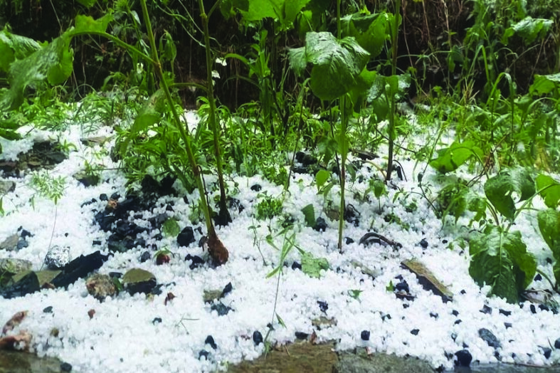 गढ़वाल में मौसम का कहर: ओलावृष्टि और आंधी से फसलें तबाह, किसानों पर संकट गहराया
