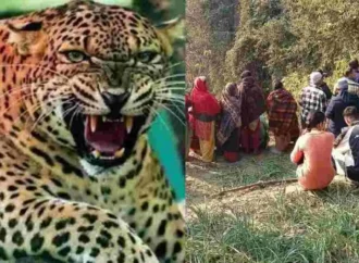 बमठी में खत्म हुआ गुलदार का आतंक, वन विभाग ने ढेर किया आदमखोर, लौटी राहत