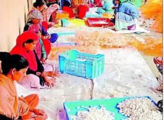 पलायन से संघर्ष तक: स्वरोजगार की नई राह से बदल रही पौड़ी की तस्वीर