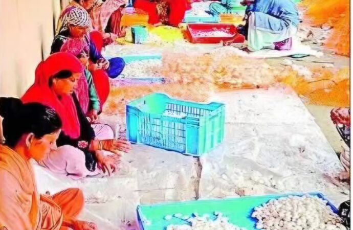 पलायन से संघर्ष तक: स्वरोजगार की नई राह से बदल रही पौड़ी की तस्वीर