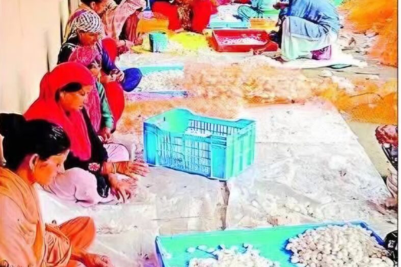 पलायन से संघर्ष तक: स्वरोजगार की नई राह से बदल रही पौड़ी की तस्वीर
