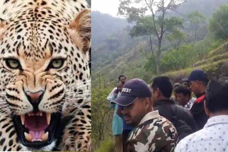 कमांद गांव में खूनी गुलदार का कहर: खेत गए बुजुर्ग की दर्दनाक मौत से दहला पौड़ी, ग्रामीणों का फूटा गुस्सा