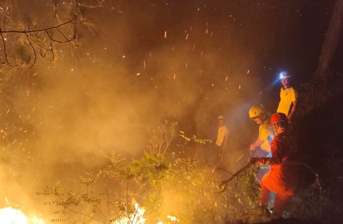 जंगल की आग बनी मौत का तांडव, फायर वाचर और महिला की जिंदा जलकर दर्दनाक मौत