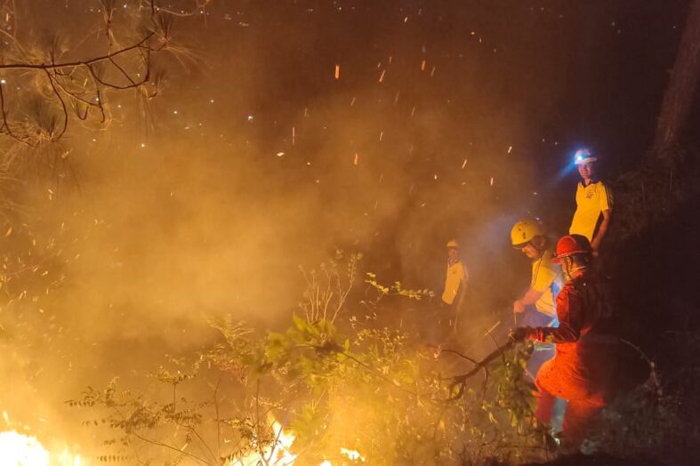 जंगल की आग बनी मौत का तांडव, फायर वाचर और महिला की जिंदा जलकर दर्दनाक मौत