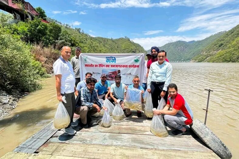 अलकनंदा में छोड़ी गईं 7 हजार महाशीर अंगुलिकाएं, नमामि गंगे के तहत जैव-विविधता संरक्षण को मिला नया बल