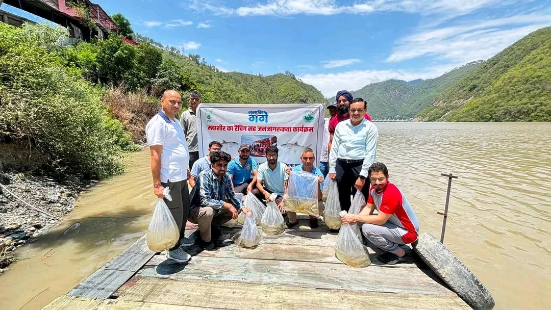 अलकनंदा में छोड़ी गईं 7 हजार महाशीर अंगुलिकाएं, नमामि गंगे के तहत जैव-विविधता संरक्षण को मिला नया बल