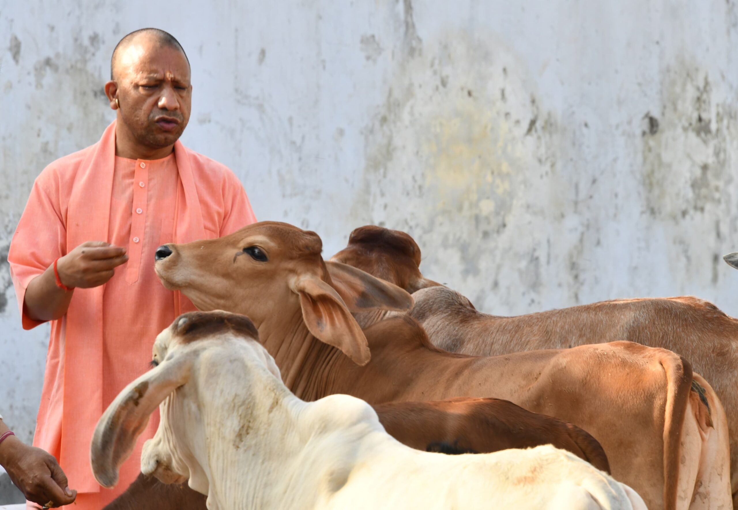 सादगी, अनुशासन और आध्यात्मिक जीवनशैली की मिसाल हैं मुख्यमंत्री योगी आदित्यनाथ