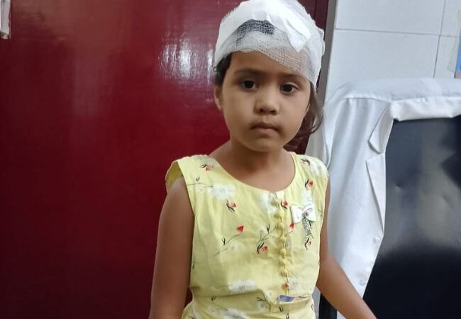 टिहरी में गुलदार का आतंक: छत पर पढ़ रही बच्ची समेत महिला पर हमला, ग्रामीणों में दहशत