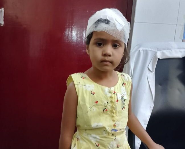 टिहरी में गुलदार का आतंक: छत पर पढ़ रही बच्ची समेत महिला पर हमला, ग्रामीणों में दहशत