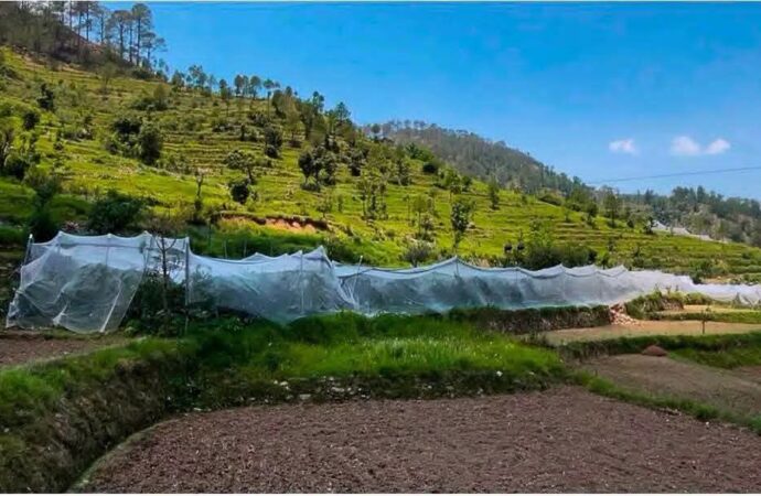 पहाड़ में बदली तकदीर: पौड़ी के दो किसानों ने सेब बागवानी से लिखी सफलता की नई कहानी, सालाना 5 लाख तक की आय