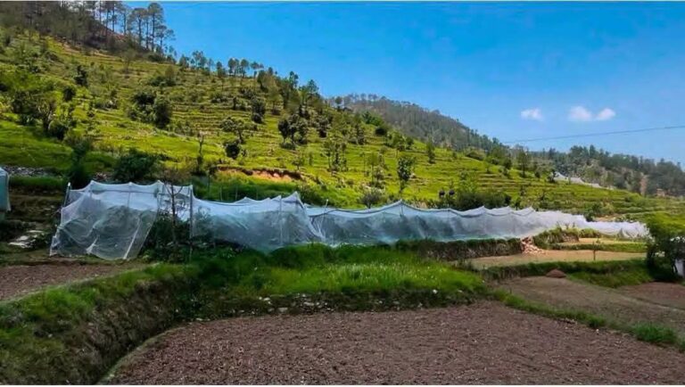 पहाड़ में बदली तकदीर: पौड़ी के दो किसानों ने सेब बागवानी से लिखी सफलता की नई कहानी, सालाना 5 लाख तक की आय