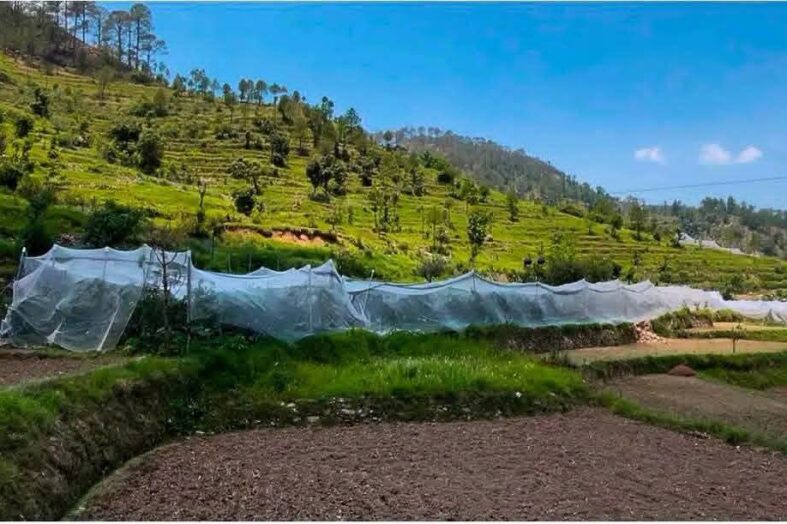 पहाड़ में बदली तकदीर: पौड़ी के दो किसानों ने सेब बागवानी से लिखी सफलता की नई कहानी, सालाना 5 लाख तक की आय