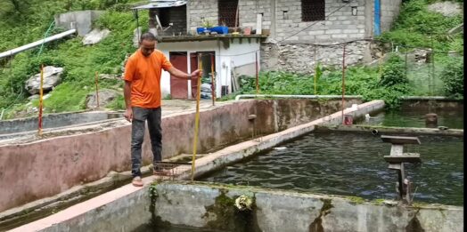 ट्राउट मत्स्य पालन से आत्मनिर्भरता की मिसाल: दिनेश सिंह चौधरी की प्रेरक सफलता की कहानी