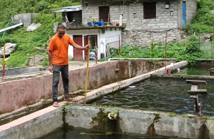 ट्राउट मत्स्य पालन से आत्मनिर्भरता की मिसाल: दिनेश सिंह चौधरी की प्रेरक सफलता की कहानी