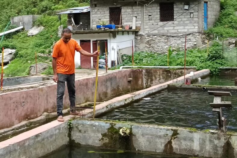 ट्राउट मत्स्य पालन से आत्मनिर्भरता की मिसाल: दिनेश सिंह चौधरी की प्रेरक सफलता की कहानी