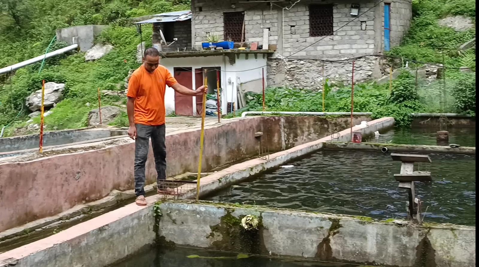 ट्राउट मत्स्य पालन से आत्मनिर्भरता की मिसाल: दिनेश सिंह चौधरी की प्रेरक सफलता की कहानी
